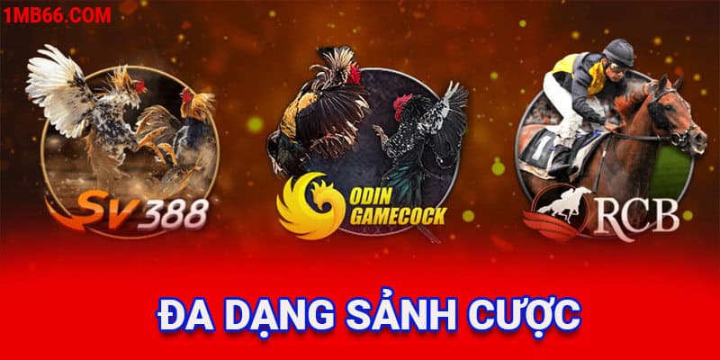 Đa dạng sảnh cược hấp dẫn tại chuyên mục đá gà MB66