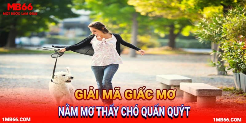 Nằm mơ thấy chó quấn quýt