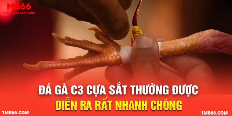 Đá gà C3 cựa sắt thường được diễn ra rất nhanh chóng