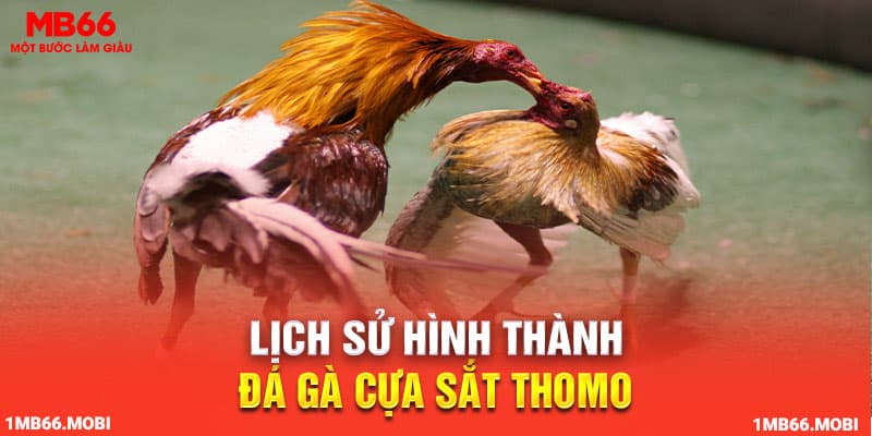 Lịch sử hình thành