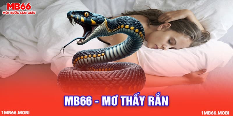 mơ thấy rắn